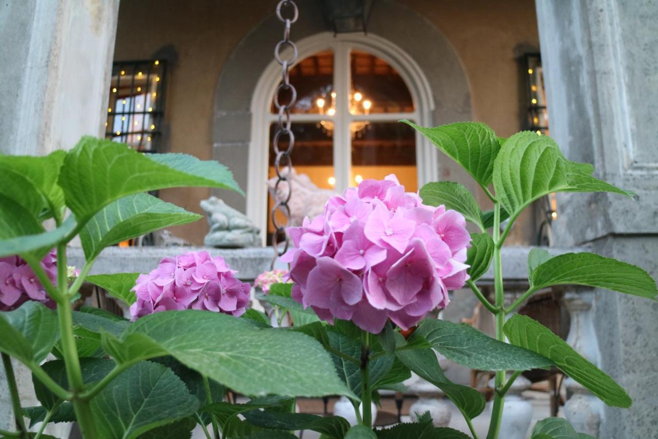 Borgo Studiati Residenza D'Epoca Bed and Breakfast Pugnano Eksteriør billede